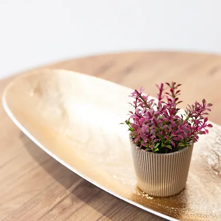 Διαμέρισμα Etheria Comfort House