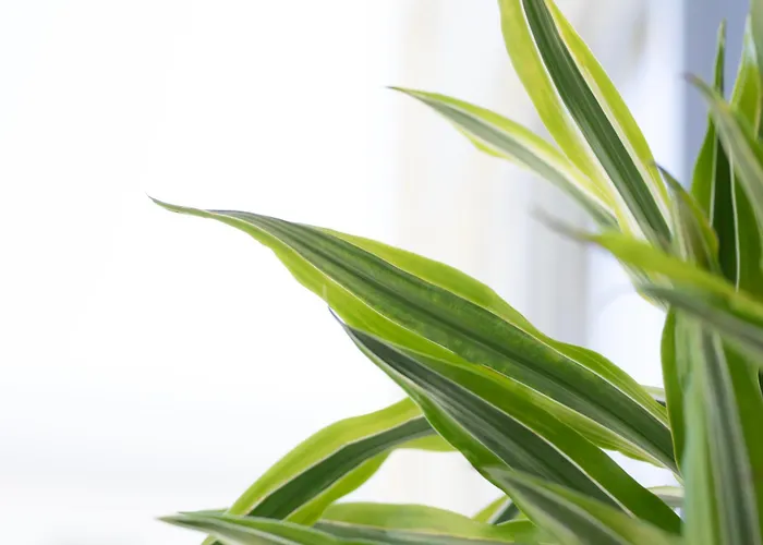 Lägenhet Etheria Comfort House *