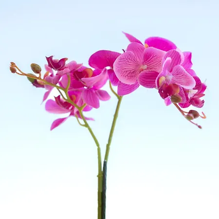 Etheria Comfort House Kos-Stadt