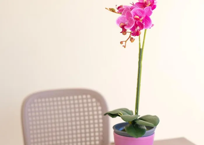 Etheria Comfort House