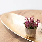 Apartman Etheria Comfort House