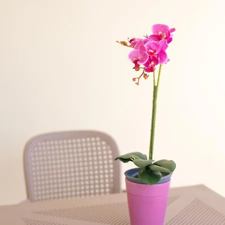 Etheria Comfort House